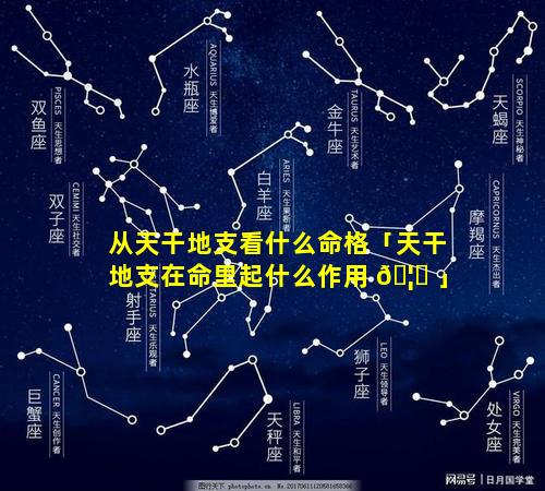 从天干地支看什么命格「天干地支在命里起什么作用 🦄 」